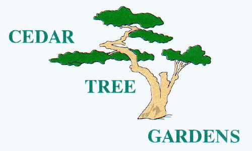 Tree.jpg (12379 bytes)